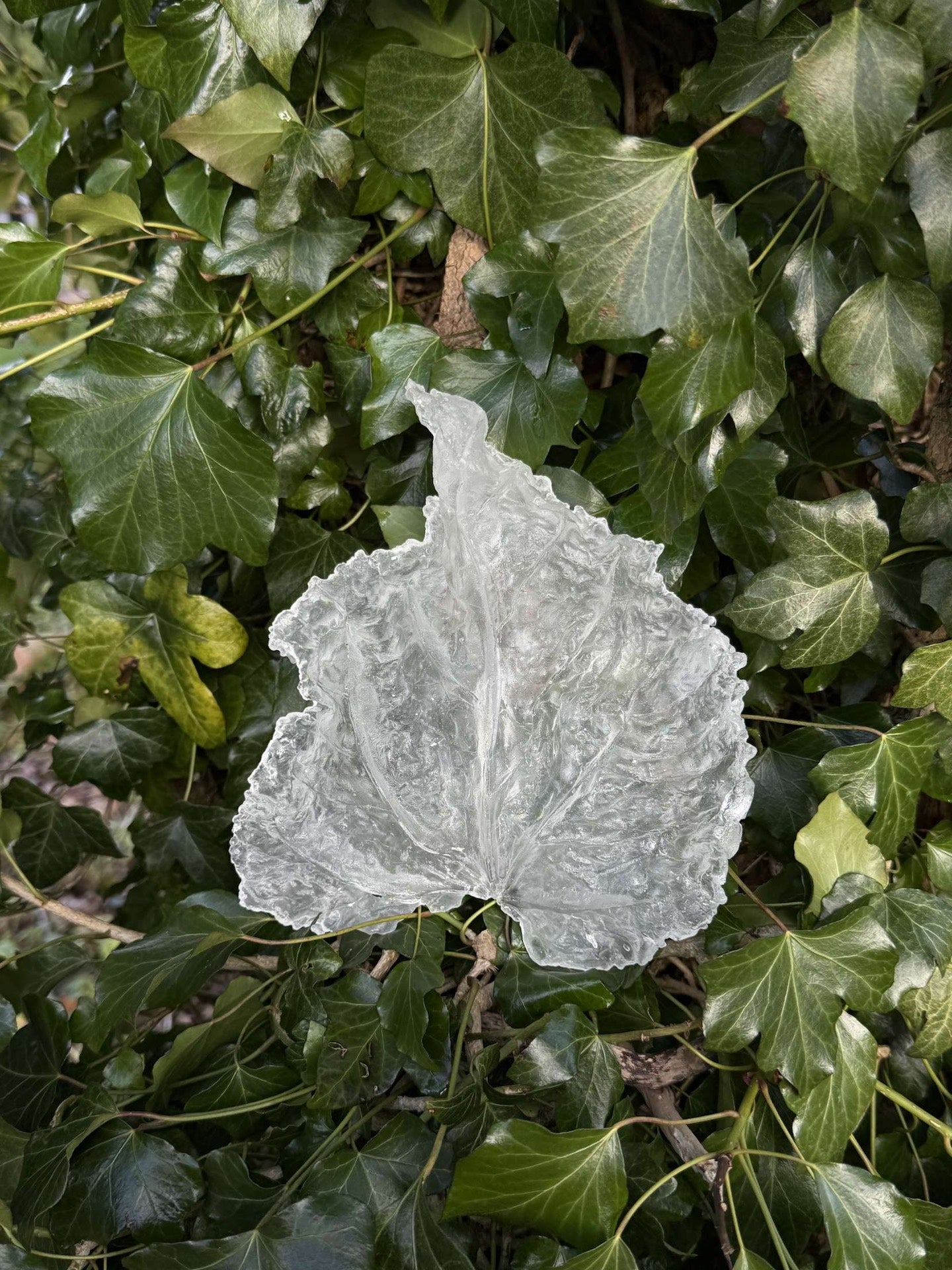 Clear cast Leaf