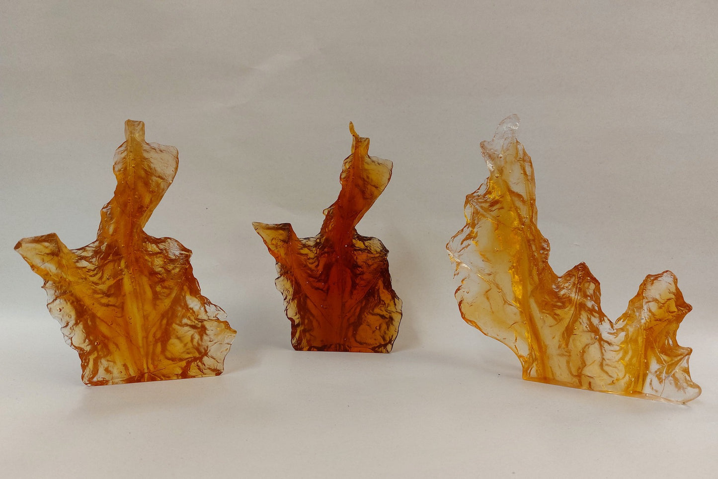 Leaf Segment Casts Amber