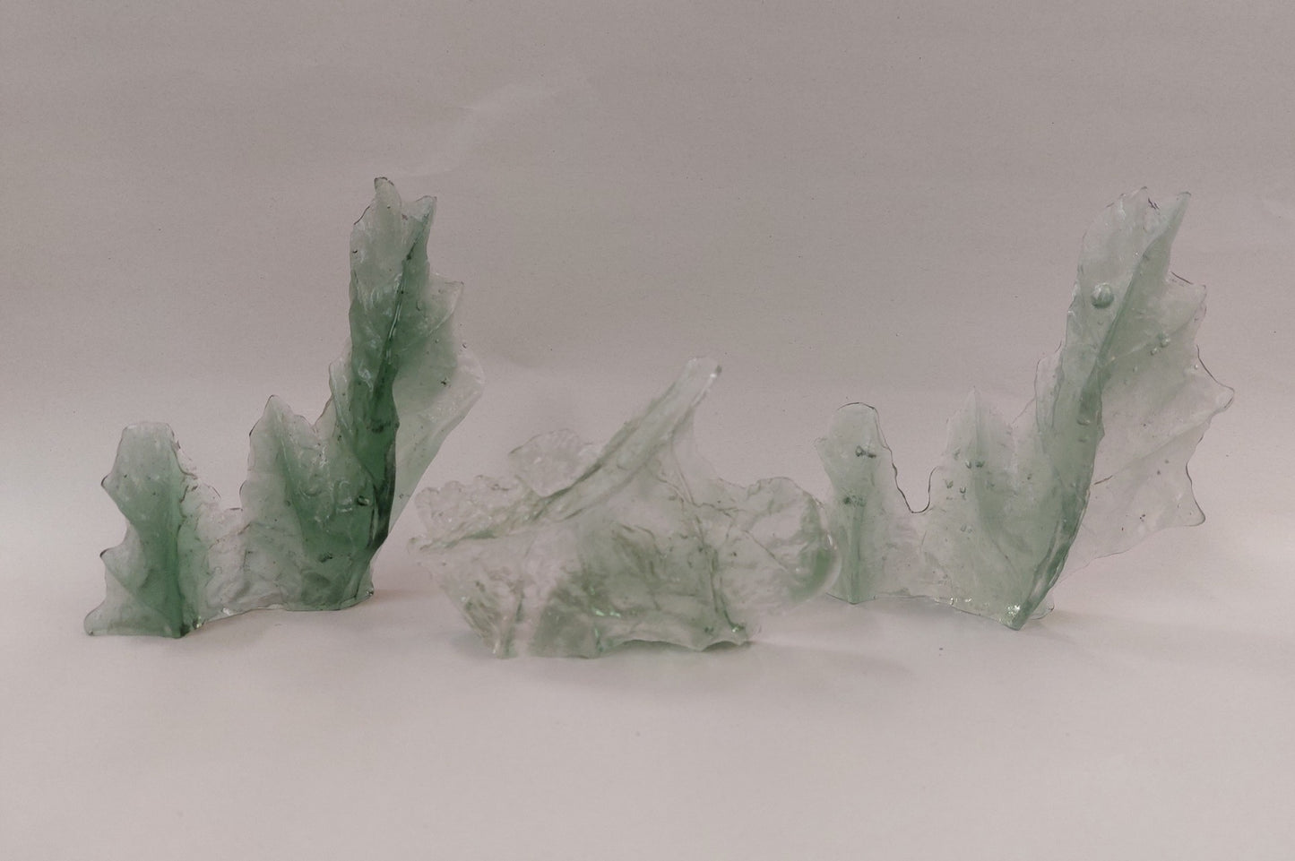 Leaf Segment Casts Green