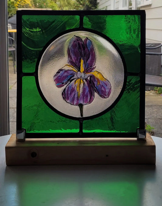 Iris Study 1