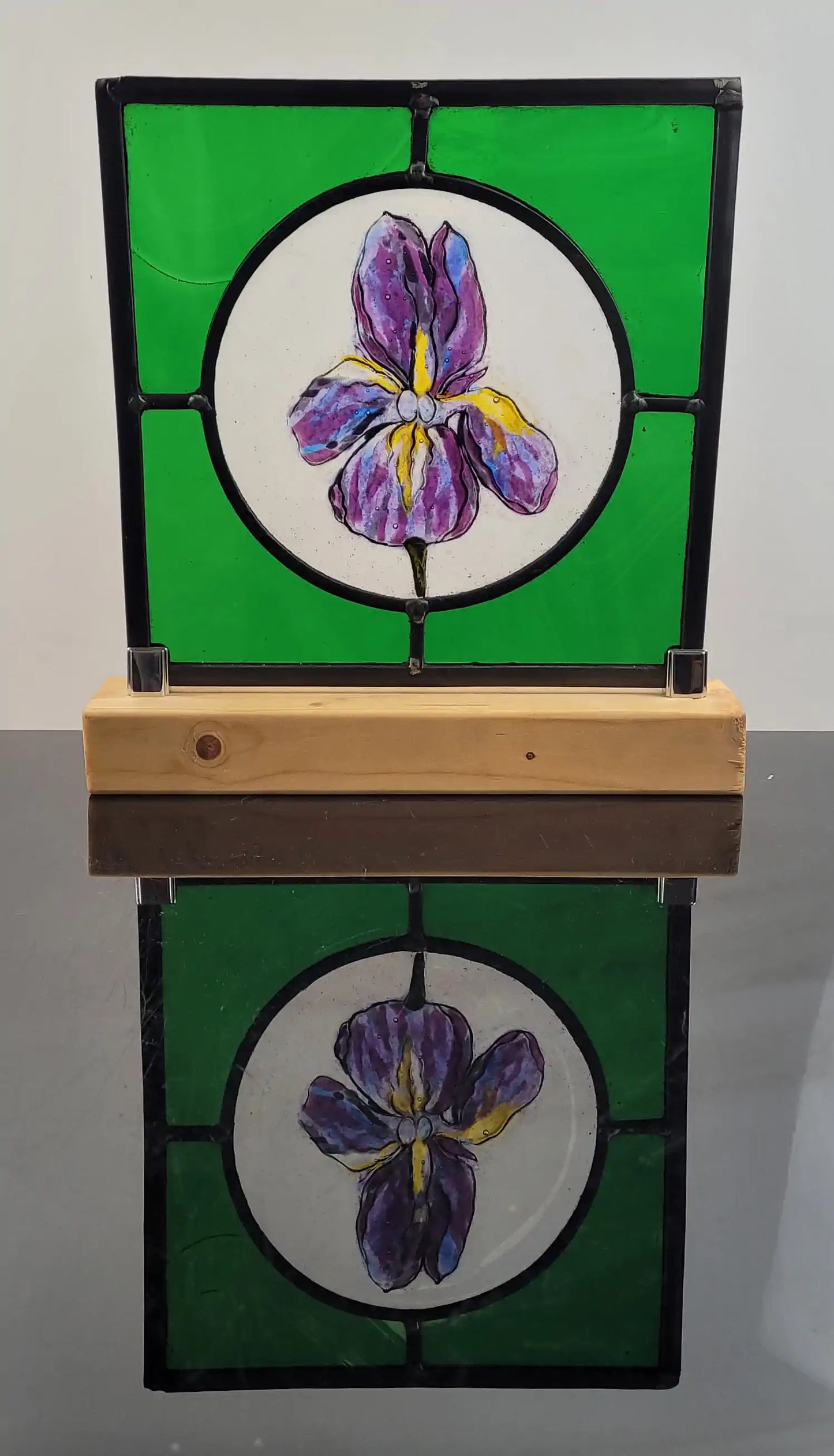 Iris Study 1
