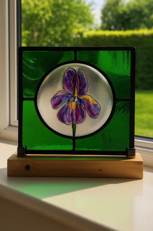 Iris Study 1